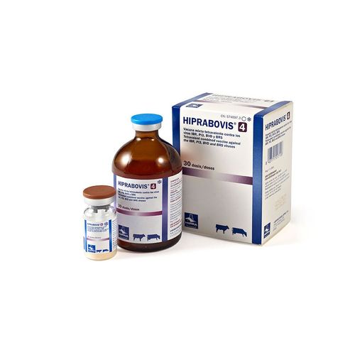 Vacina Hiprabovis 4 - 30 Doses (Hipra)